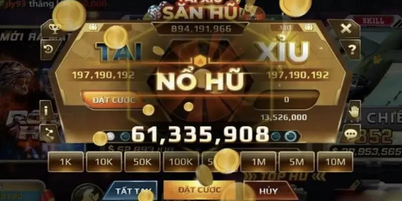 Những sai lầm cần tránh khi chọn dòng săn hũ